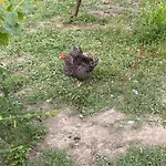 Сasa de vacaciones Petit Coin De Paradis A 10 Min De St-girons *