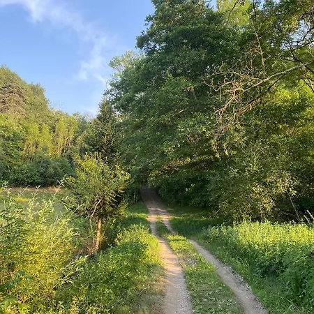 Petit Coin De Paradis A 10 Min De St-girons
