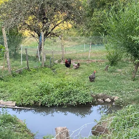 Сasa de vacaciones Petit Coin De Paradis A 10 Min De St-girons *
