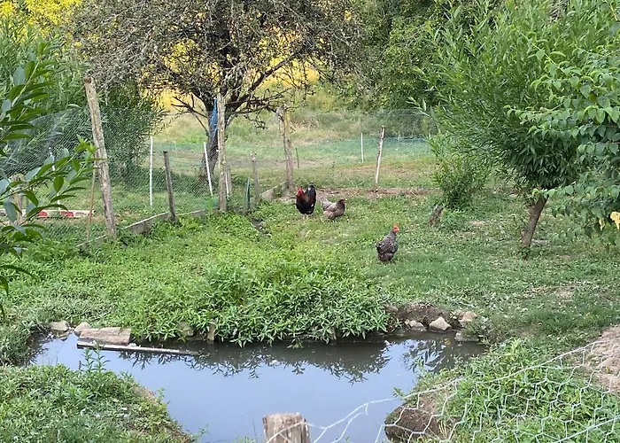 Дом отдыха Petit Coin De Paradis A 10 Min De St-girons *